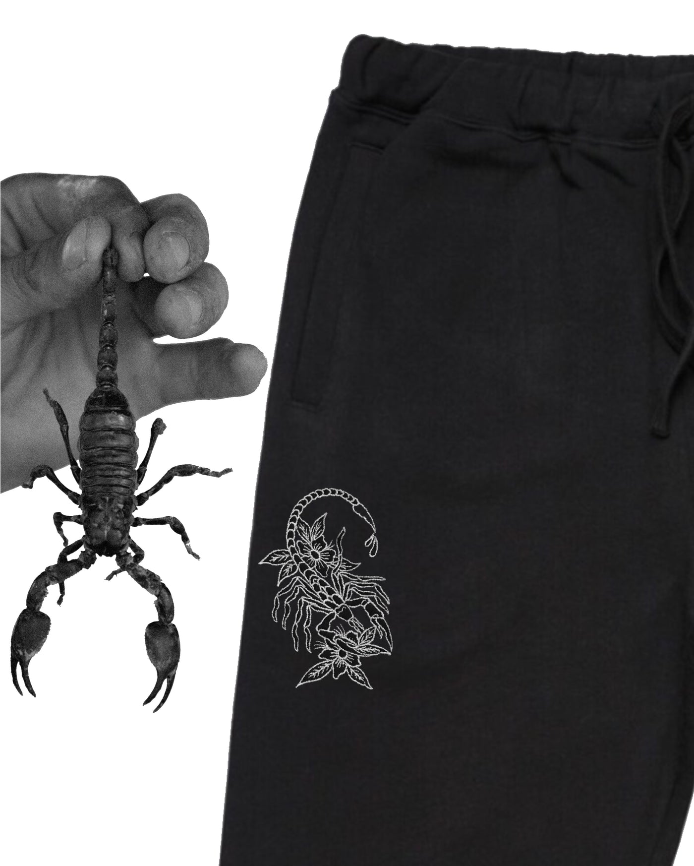 Scorpion Joggers